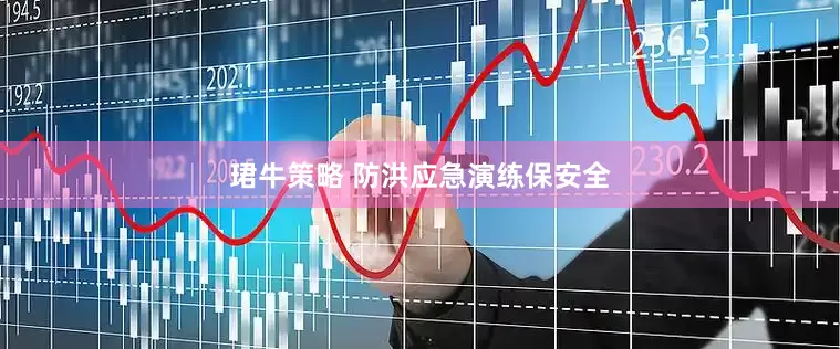 珺牛策略 防洪应急演练保安全