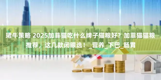 珺牛策略 2025加菲猫吃什么牌子猫粮好？加菲猫猫粮推荐，这几款闭眼选！_营养_下巴_肠胃