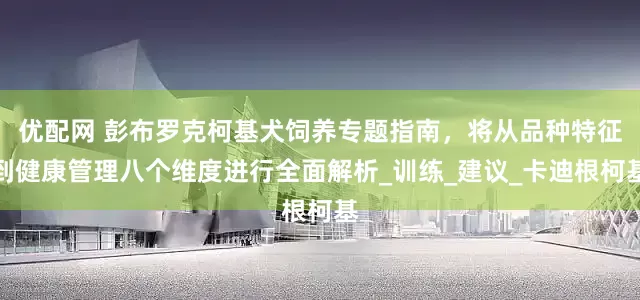 优配网 彭布罗克柯基犬饲养专题指南，将从品种特征到健康管理八个维度进行全面解析_训练_建议_卡迪根柯基