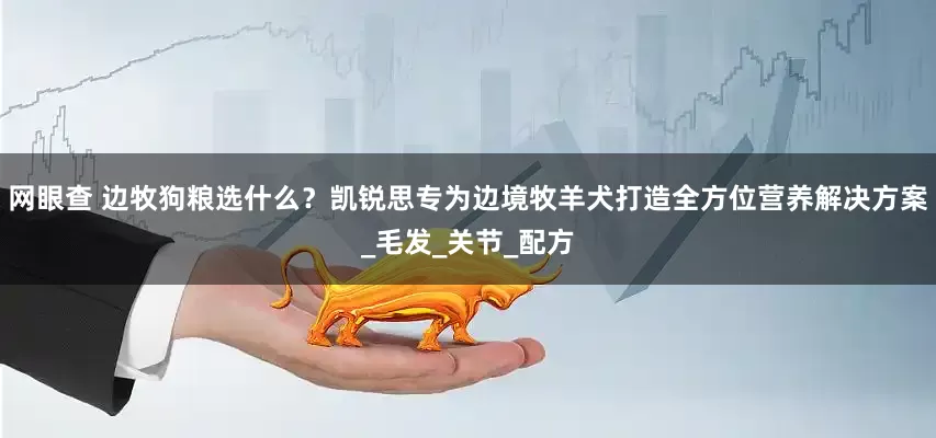 网眼查 边牧狗粮选什么？凯锐思专为边境牧羊犬打造全方位营养解决方案_毛发_关节_配方