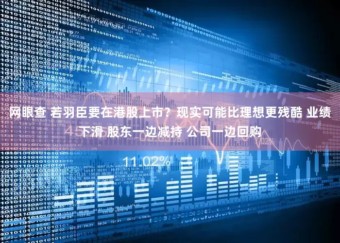 网眼查 若羽臣要在港股上市？现实可能比理想更残酷 业绩下滑 股东一边减持 公司一边回购