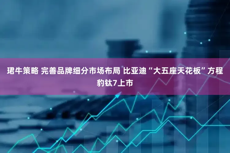 珺牛策略 完善品牌细分市场布局 比亚迪“大五座天花板”方程豹钛7上市
