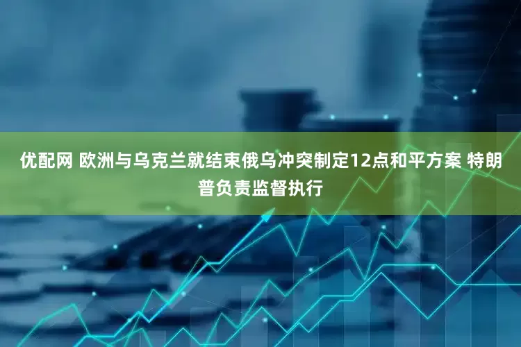 优配网 欧洲与乌克兰就结束俄乌冲突制定12点和平方案 特朗普负责监督执行